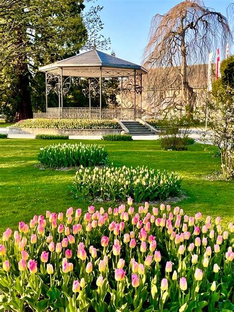 morges tulpen|The Stunning & Colourful Annual Tulip Festival in。